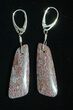 Gorgeous Agatized Dinosaur Bone (Gembone) Earrings #54081-1